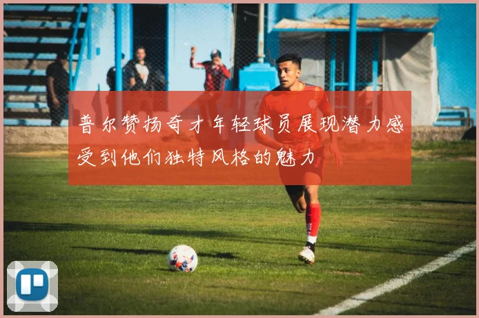 普尔赞扬奇才年轻球员展现潜力感受到他们独特风格的魅力
